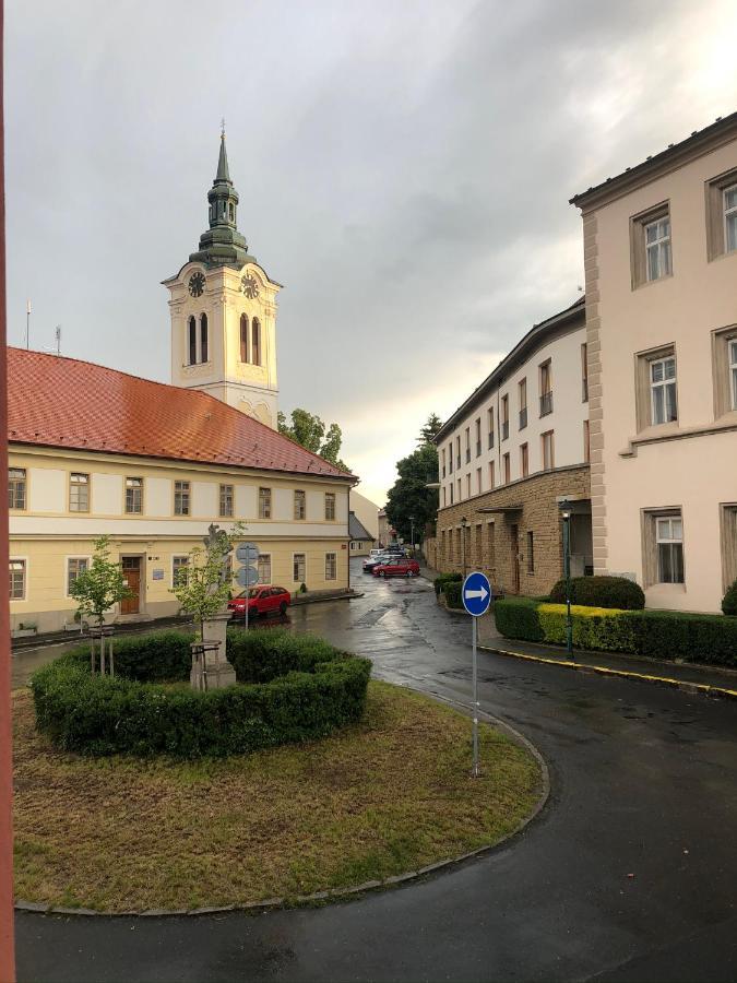 Villa Magdalena Kutná Hora Kültér fotó